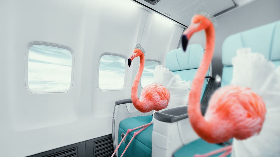 proposition to customers in a crowded and uniform market.