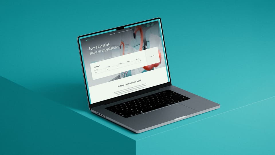 designed and developed a visual identity for Skyllence