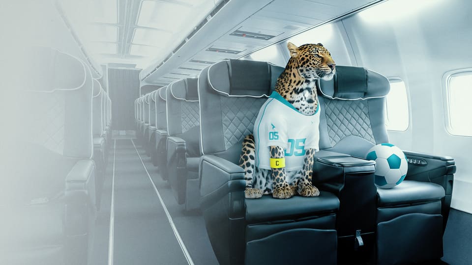 Drive traffic to the site through a digital campaign for Skyllence