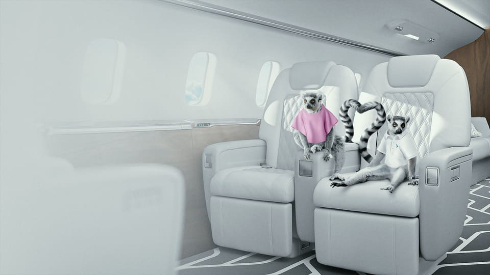 Skyllence case study PAN PAN Agency