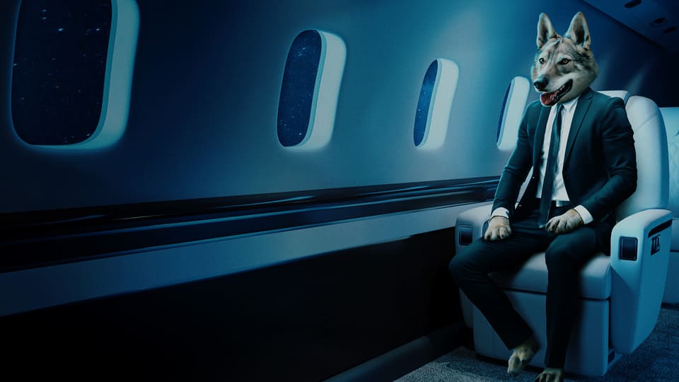 Website now supports 15 languages to cater to Skyllence’s global target audience.